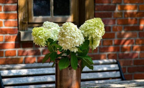 Blomster til et kobberbryllup